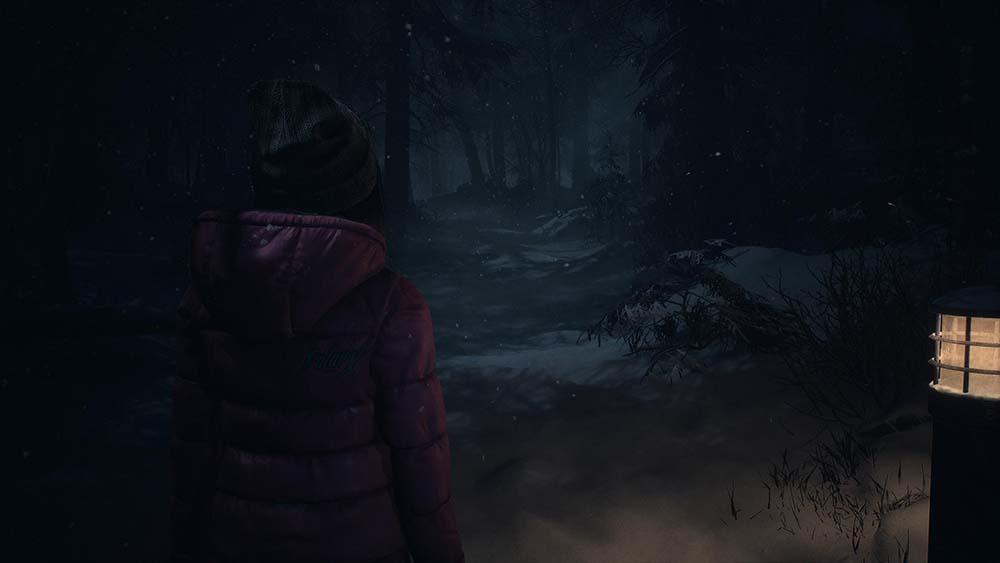 Until Dawn Remake