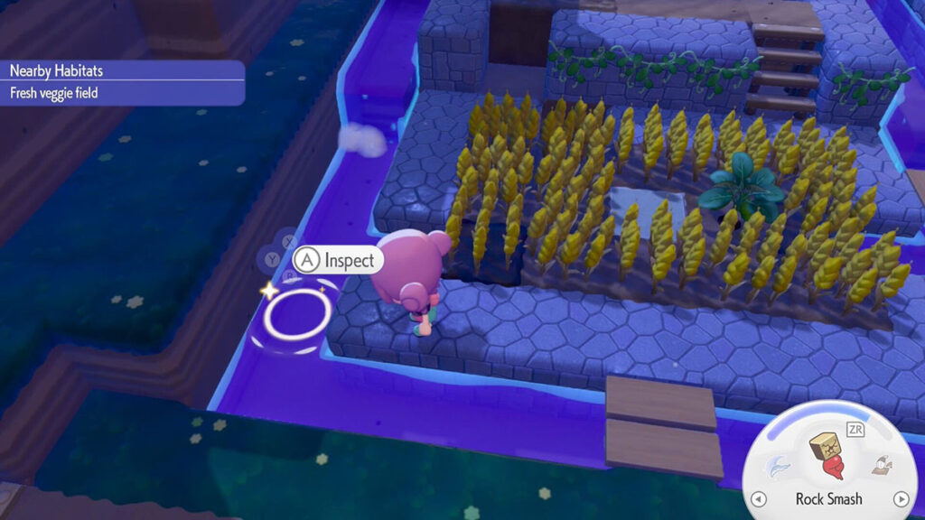 Pokemon-Pokopia-Shiny-Spot